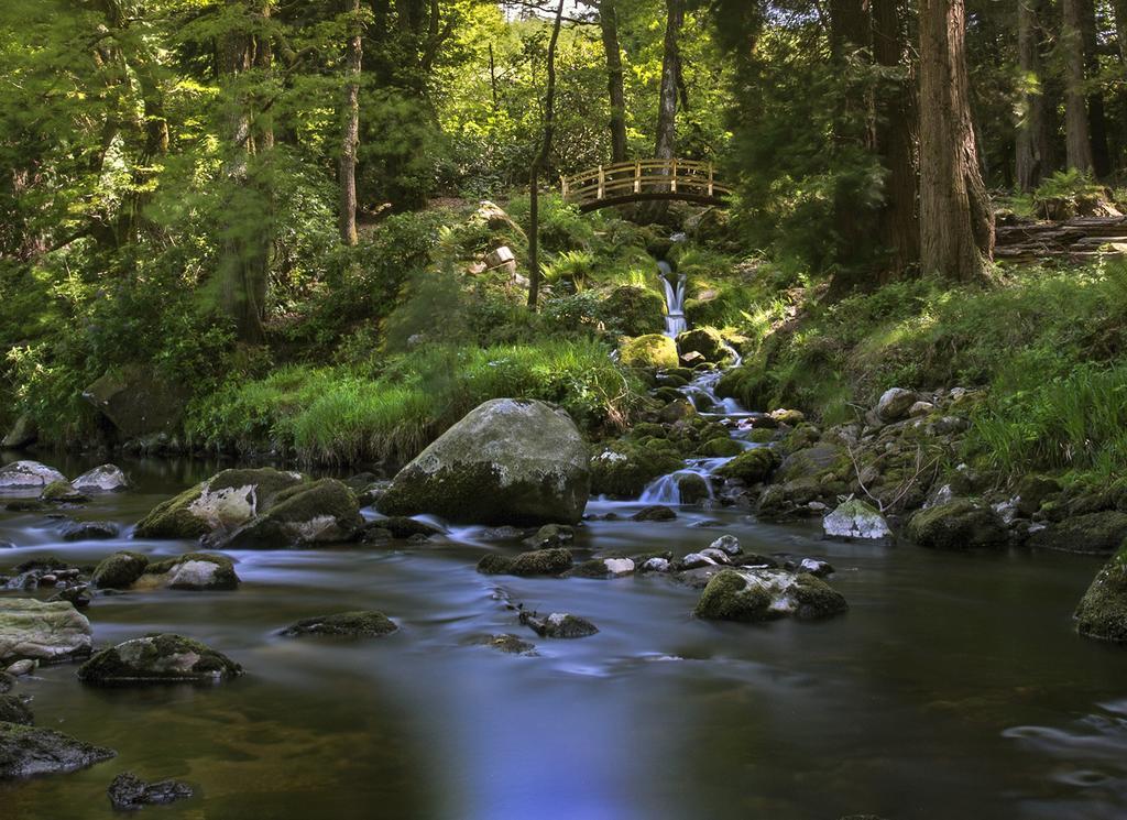 Ballyteige Lodge Ballyteige Bridge Eksteriør bilde